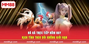 Đá Gà Trực Tiếp Hôm Nay MM88