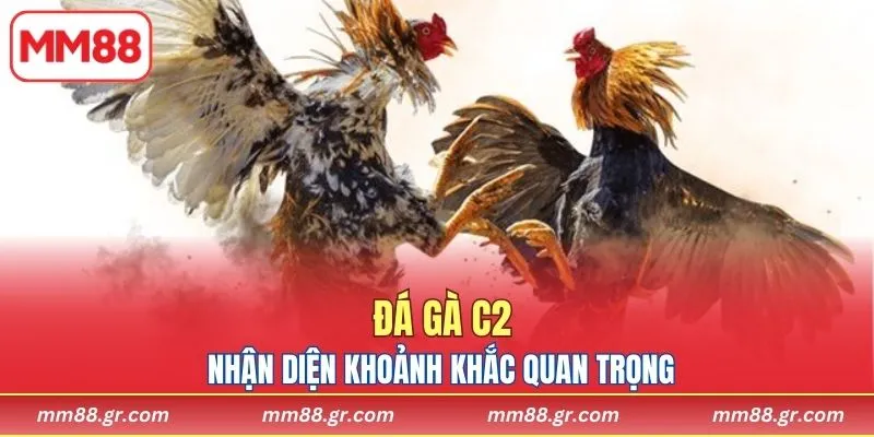 Nhận diện khoảnh khắc quan trọng, tối ưu lợi thế chiến thuật