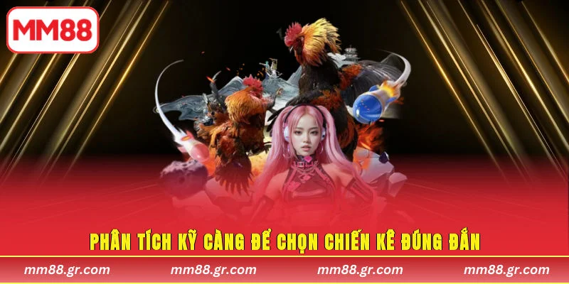 Phân tích kỹ càng để chọn chiến kê đúng đắn