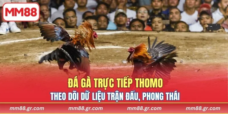Theo dõi dữ liệu trận đấu, phong thái và khả năng chiến binh