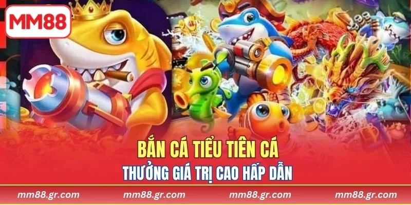Trải nghiệm bắn cá nhịp nhàng, thưởng giá trị cao hấp dẫn